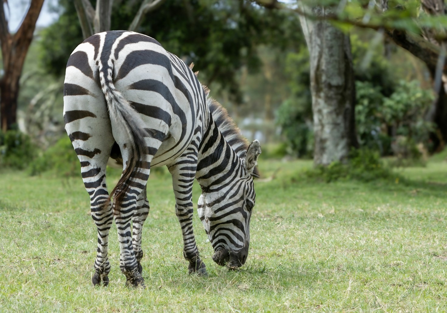 Wildlife Encounters You’ll Never Forget
