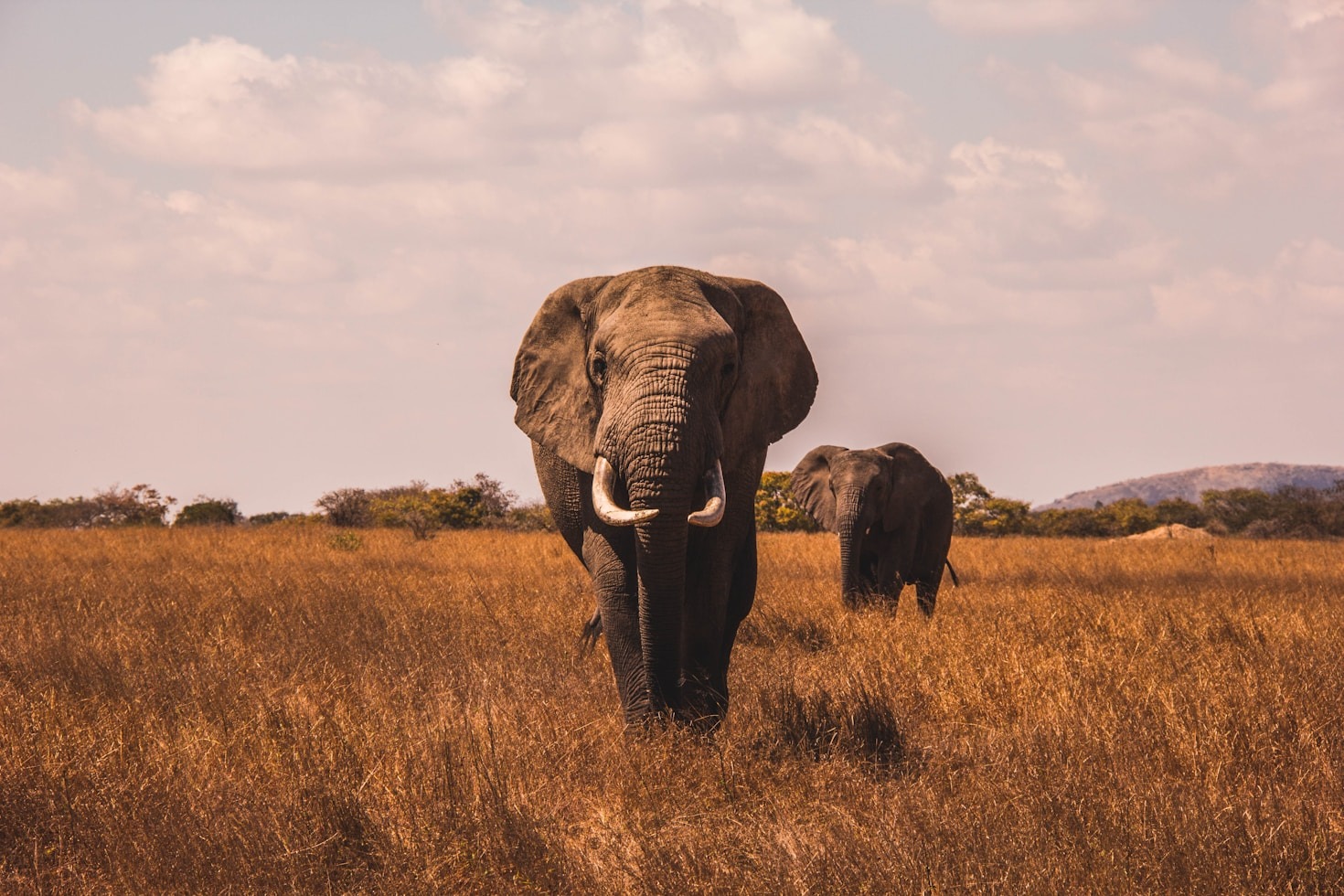 Cultural Insights Around the Serengeti Region